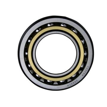 skf brand Nylon cage deep groove ball bearing 6204 6302 6304 6306 bearing