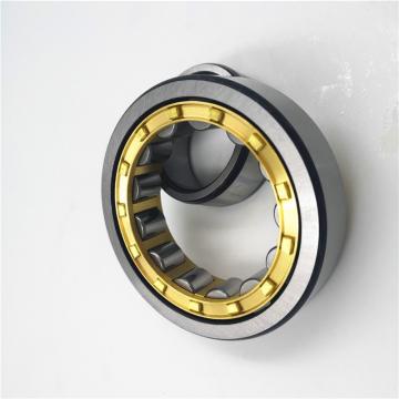Cylindrical Roller Bearing 215 216 217 218 219 220 N /NU/ NUP/NJ/NF/EM/ECP/C3 SKF Bearing